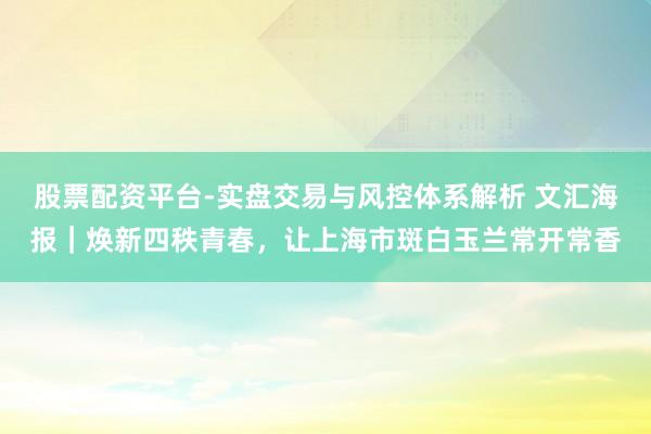 股票配资平台-实盘交易与风控体系解析 文汇海报｜焕新四秩青春，让上海市斑白玉兰常开常香