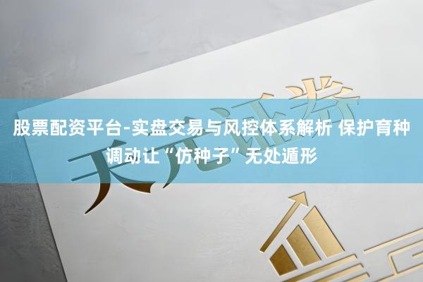 股票配资平台-实盘交易与风控体系解析 保护育种调动让“仿种子”无处遁形