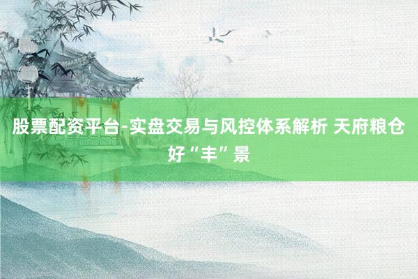 股票配资平台-实盘交易与风控体系解析 天府粮仓好“丰”景