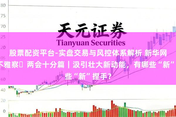 股票配资平台-实盘交易与风控体系解析 新华网科技不雅察・两会十分篇｜汲引壮大新动能，有哪些“新”捏手？