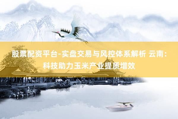 股票配资平台-实盘交易与风控体系解析 云南：科技助力玉米产业提质增效