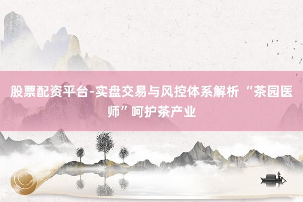 股票配资平台-实盘交易与风控体系解析 “茶园医师”呵护茶产业