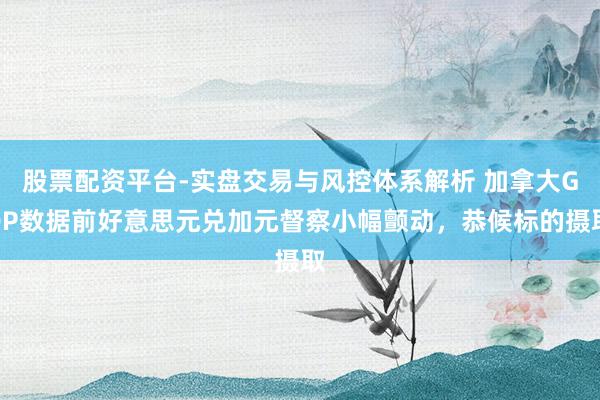 股票配资平台-实盘交易与风控体系解析 加拿大GDP数据前好意思元兑加元督察小幅颤动，恭候标的摄取