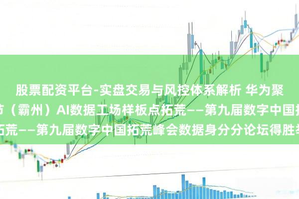 股票配资平台-实盘交易与风控体系解析 华为聚搭伙伴运转京津冀关节（霸州）AI数据工场样板点拓荒——第九届数字中国拓荒峰会数据身分分论坛得胜举办